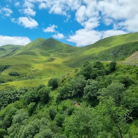 Le Tartaret - De Michele Apartman Murol